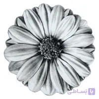 پادری زرباف طرح گلسا طوسی