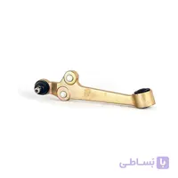 طبق ساینا راست