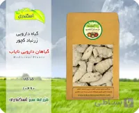 گیاه زرنباد (کچور) اصل نایاب | گیاه دارویی کم‌یاب