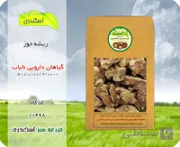 ریشه جوز نایاب (خسرو دار) | گیاه دارویی کم‌یاب