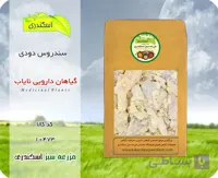 سندروس دودی نایاب | گیاه دارویی کم‌یاب