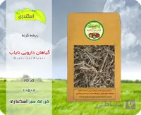 ریشه گزنه