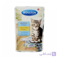 پوچ ( سوپ ) وینستون مدل ادالت طعم مرغ و گوشت و اردک وزن 100 گرم