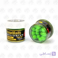 طعمه مصنوعی تخم سالمون شناور پرتقالی طعم دار(پنیر) رنات بیت  بسته ۴۰ عددی RENAT BAITS Salmon Eggs