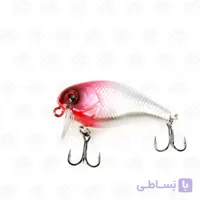 لور فلوت ریوجی ۳.۸ سانت، ۴.۲ گرم مدل RYUJI CHUBY PINK HEAD