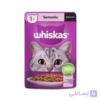 پوچ گربه ادالت ویسکاس طعم ماهی سالمون Whiskas With Salmon