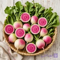 بذر تربچه هندوانه ای پاکت اورجینال 100 عددی راشا