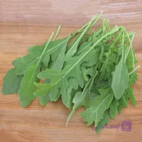 بذر راکولا سیلوتا بسته ۵۰ عددی