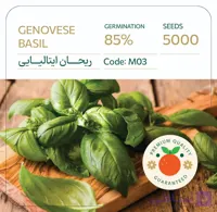 بذر ریحان ایتالیایی گنووس خوش عطر بسته 5000 عددی راشا ⭐