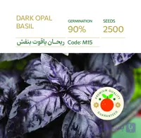 بذر ریحان ایتالیایی بنفش یاقوت تیره پاکت اورجینال 2500 عددی راشا⭐