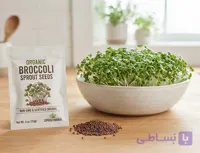 بذر بروکلی ارگانیک (مخصوص تولید جوانه) – بسته ۱۰۰ گرمی(25000عدد)