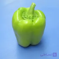بذر فلفل دلمه فسفری هیبرید صادراتی فوق پربار دانژه رقم 2222 بسته 5 عددی