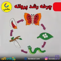 چرخه زندگی پروانه