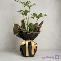 دسته گل تک برگی شفلرا مشکی، صفحه ۱۲ کد133 (ترکیه)