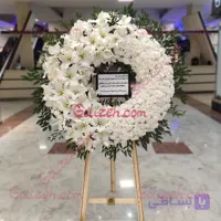 تاج گل حلقه‌ای حکمت