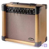 آمپلی فایر آکوستیک 15 وات استگ Stagg Acoustic Amplifier 15 AA DR - فروشگاه اینترنتی گیتارباز