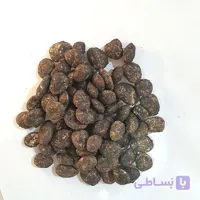 بذر لوبیا سفید پابلند اصلاح شده امریکایی یک کیلو گرم
