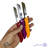 کارد میوه خوری متوسط اره ای سولینگن