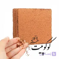 کوکوپیت قالبی سریلانکایی