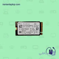 اس اس دی اینترنال هاینیکس M.2 2242 NVMe مدل PV10 ظرفیت 256 گیگابایت