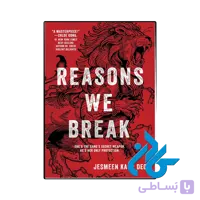 کتاب Reasons We Break