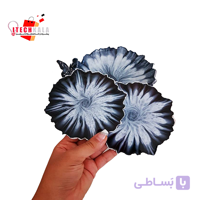 دوره آموزشی ظروف رزینی