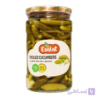 خیارشور ویژه اصالت ESALAT وزن 600 گرم