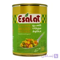 کنسرو مخلوط سبزیجات اصالت ESALAT وزن 380 گرم