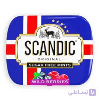 خوش بو کننده دهان اسکاندیک SCANDIC اصل روسیه با طعم مرکبات وزن 14 گرم