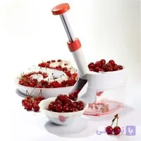 هسته گیر آلبالو تکتا