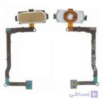 FLAT NOTE 5 FINGER HOME GOLD SAM
