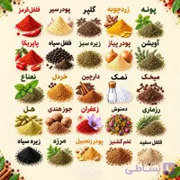 لیبل ادویه عکس دار-برچسب ادویه شفاف رنگی 26 عددی