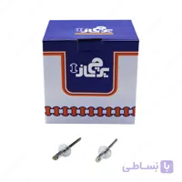میخ پرچ گل پهن سایز 4×12 میلی متر برند پرچ ساز بسته 600 عددی