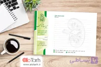 طرح سرنسخه دکتر اورولوژی لایه باز
