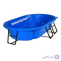 استخر بزرگسال
