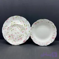 سرویس طرح رویسا