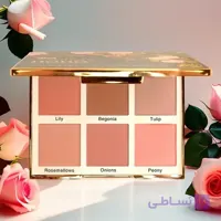 پالت رژ گونه هوهو آرتیستا | Artista HOHO Blush Palette