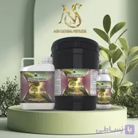 کود فسفر 10-52-10 بمب