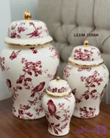 جینجرجار با طرح برد قرمز
