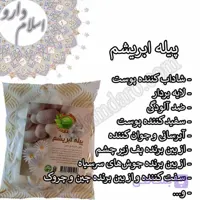 پیله ابریشم