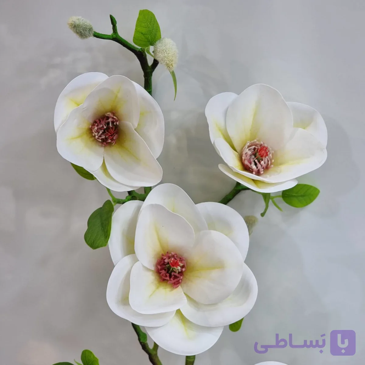 شاخه گل مگنولیا لمسی ۵ شاخه با کیفیت عالی – ارتفاع ۷۰ سانتی‌متر