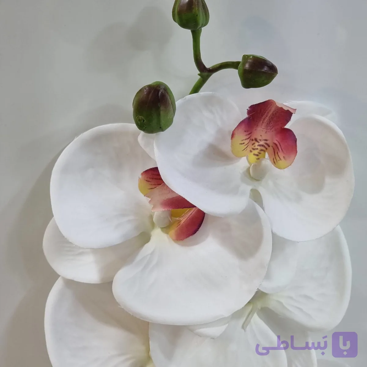 گل ارکیده ۷ شاخه درجه ۱ – تزئین منزل و هدیه لوکس