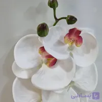 گل ارکیده ۷ شاخه درجه ۱ – تزئین منزل و هدیه لوکس