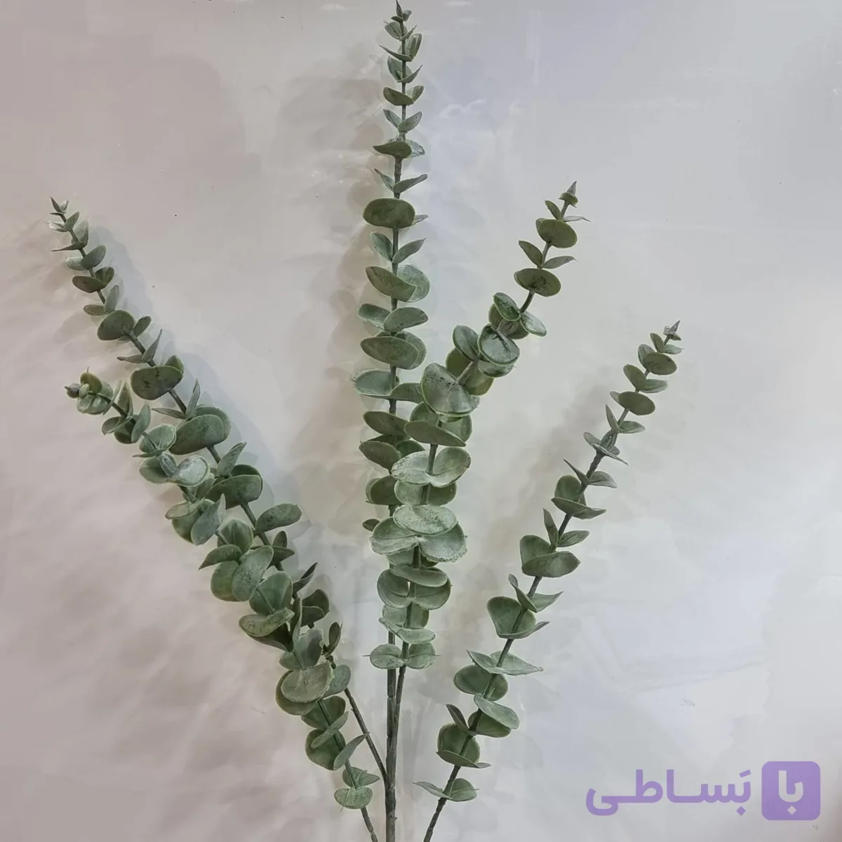 شاخه گل مصنوعی اکالیپتوس چرمی ۵ شاخه – ارتفاع ۸۹ سانتی‌متر