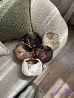 مینی بگ بِلا