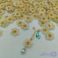 گیره روسری پلکسی