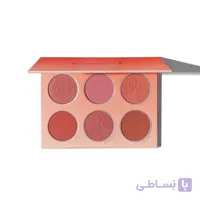 پلت رژگونه ۶ رنگ شیگلم اورجینال Blushing Bouquet