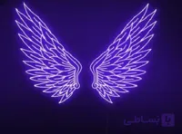 نئون سیلیکونی اورجینال بنفش 12ولت سایز 12*6 میلیمتر 9 وات