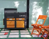 باربیکیو گازی مدل AMINBBQ-BWRC-110