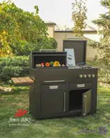 باربیکیو گازی مدل AMINBBQ-BRC-110